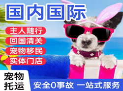 图木舒克唐王城国际宠物托运 【国